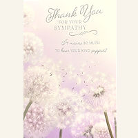 Sympathy Card 6
